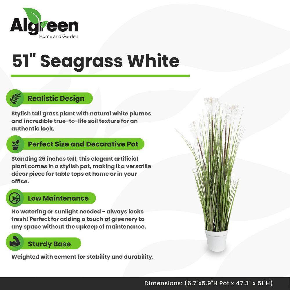 Algreen 51" Seagrass