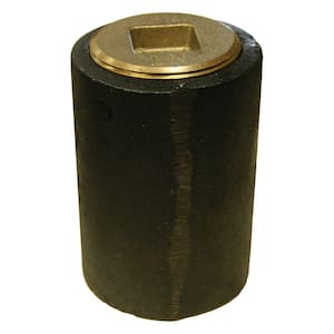 2-1/2 in. x 3 in. Pipe Plug Cast Iron Plain End Long Pattern Southern Code Cleanout w/ Raised Head (Low Square) for DWV