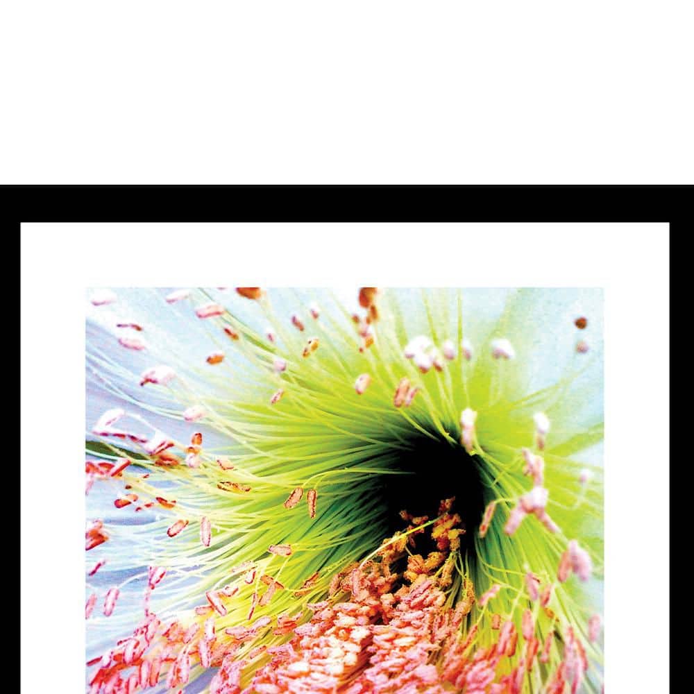 Bright Floral Framed Print for Kids Room Decor