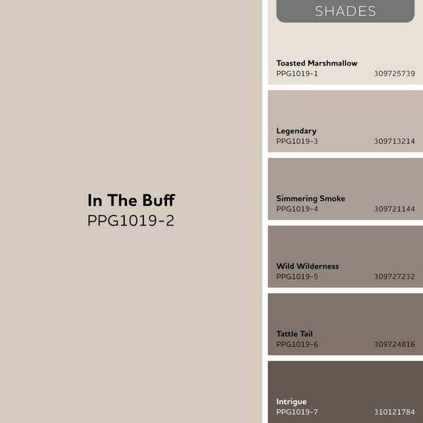 Buff Benjamin Moore Paint