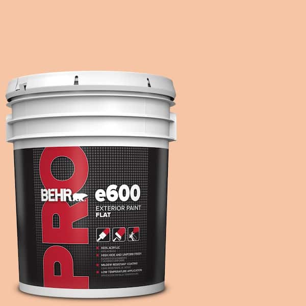BEHR PRO 5 gal. #240C-3 Peach Damask Flat Exterior Paint