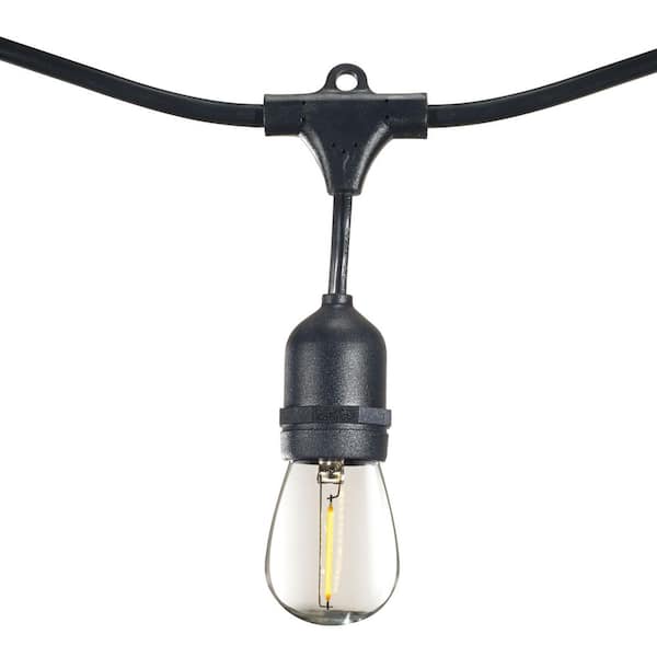 Outdoor/Indoor 30 ft. Plug-in S14 LED Black String Light with Clear Shatter Resistant Bulbs Included 10 Sockets (2-Pack)