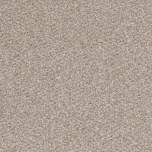 8 in. x 8 in. Texture Carpet Sample - Soft Breath Plus I -Color Laurel