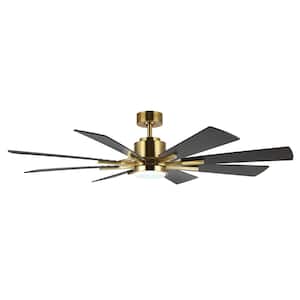 72 in. LED Indoor Gold and Black Ceiling Fan with Remote, Black Blades