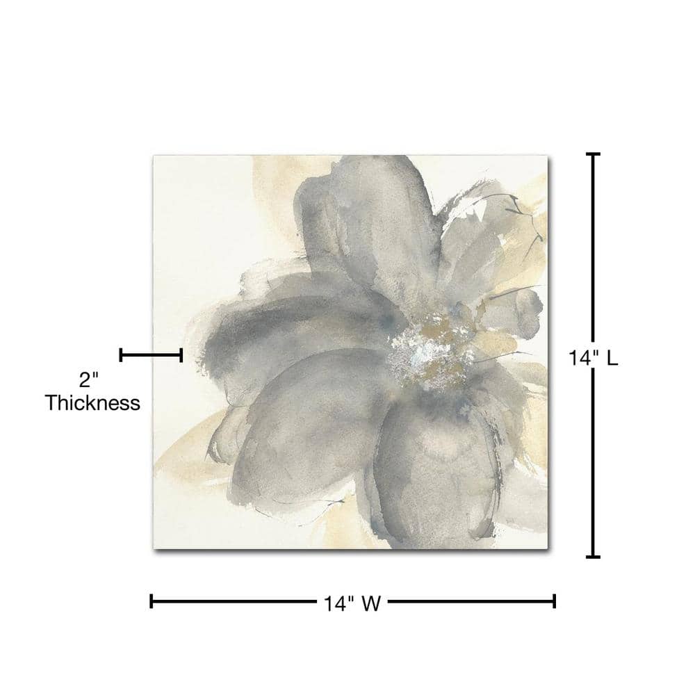 Floral Gray I Contemporary Canvas Art with Floater Frame, 14" x 14"