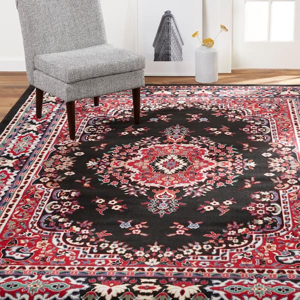 Premium Sakarya Black/Red 8 ft. x 10 ft. Medallion Area Rug