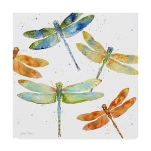 Dragonfly Bliss 1 by Jean Plout Hidden Frame Animal Art Print 18 in. x 18 in