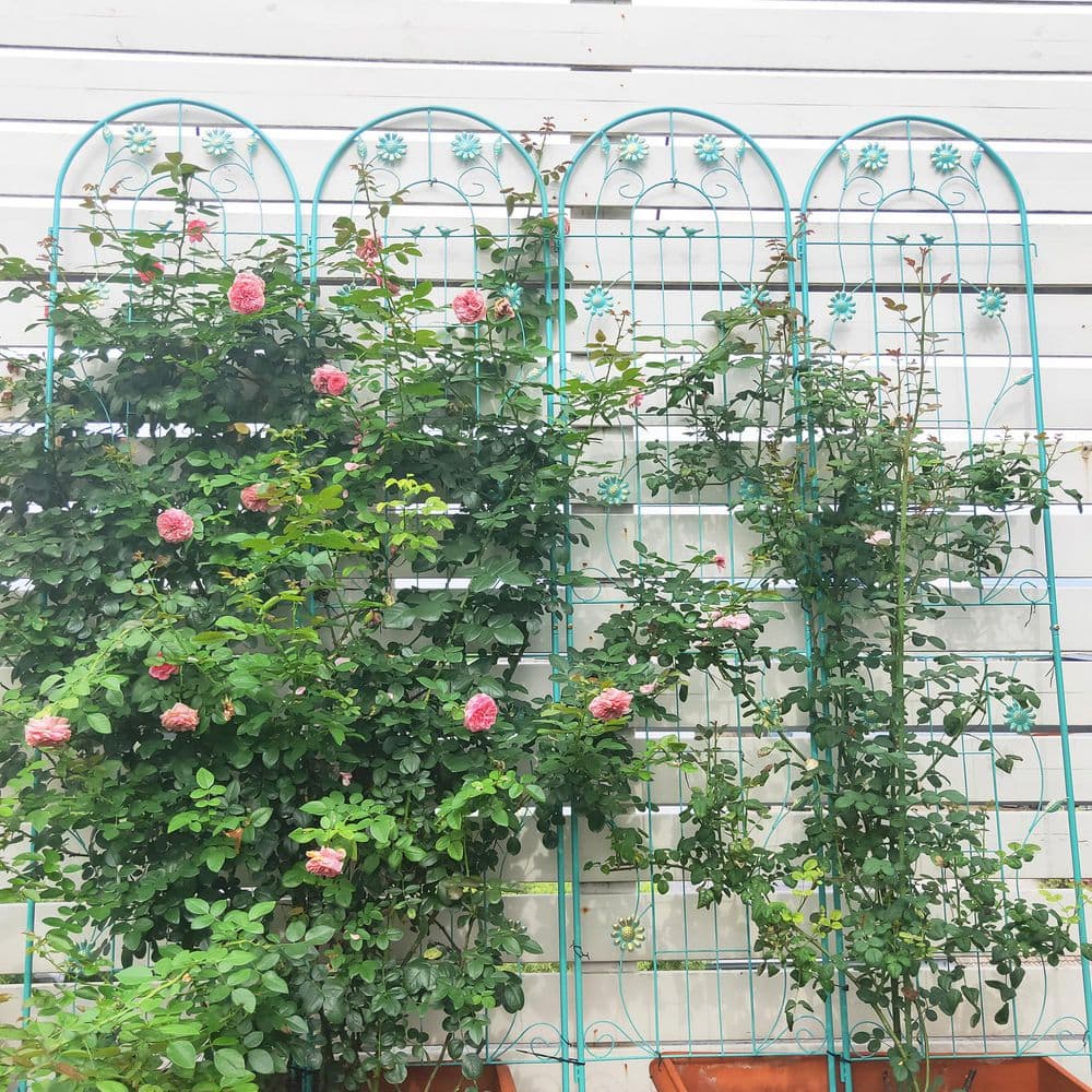 86.7 in. Green Metal Garden Trellis for Climbing Plants Rustproof Outdoor Flower Support (4-Pack) price history on PriceWatchPro
