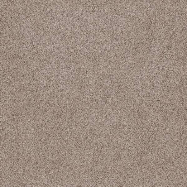 Lifeproof Sand Dunes I - Terra Brown 53 oz. Nylon Texture Installed Carpet