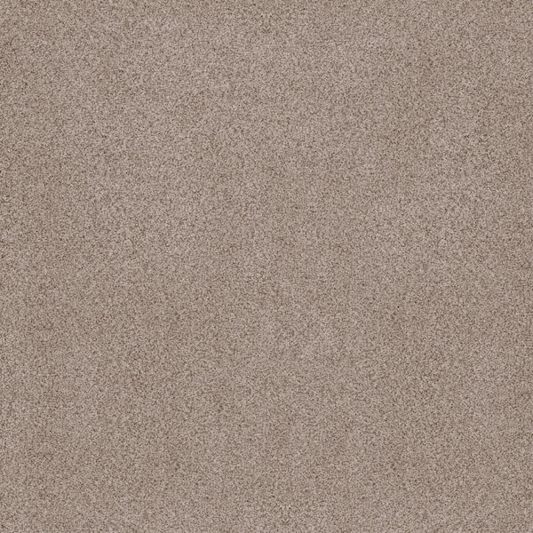 Lifeproof Sand Dunes II Terra Brown 62 oz. Nylon Texture Installed Carpet