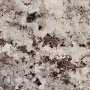 3 in. x 3 in. Granite Countertop Sample in Alaska White