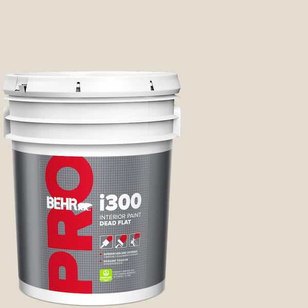 5 gal. #N340-1 Light Granite Dead Flat Interior Paint