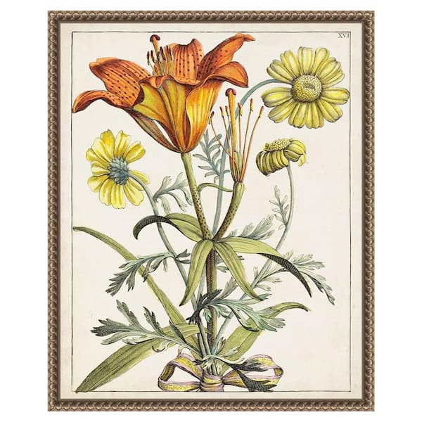 Amanti Art Dutch Florals V 16 in. W x 20 in. H. Canvas Wall Art Print Framed in Bronze