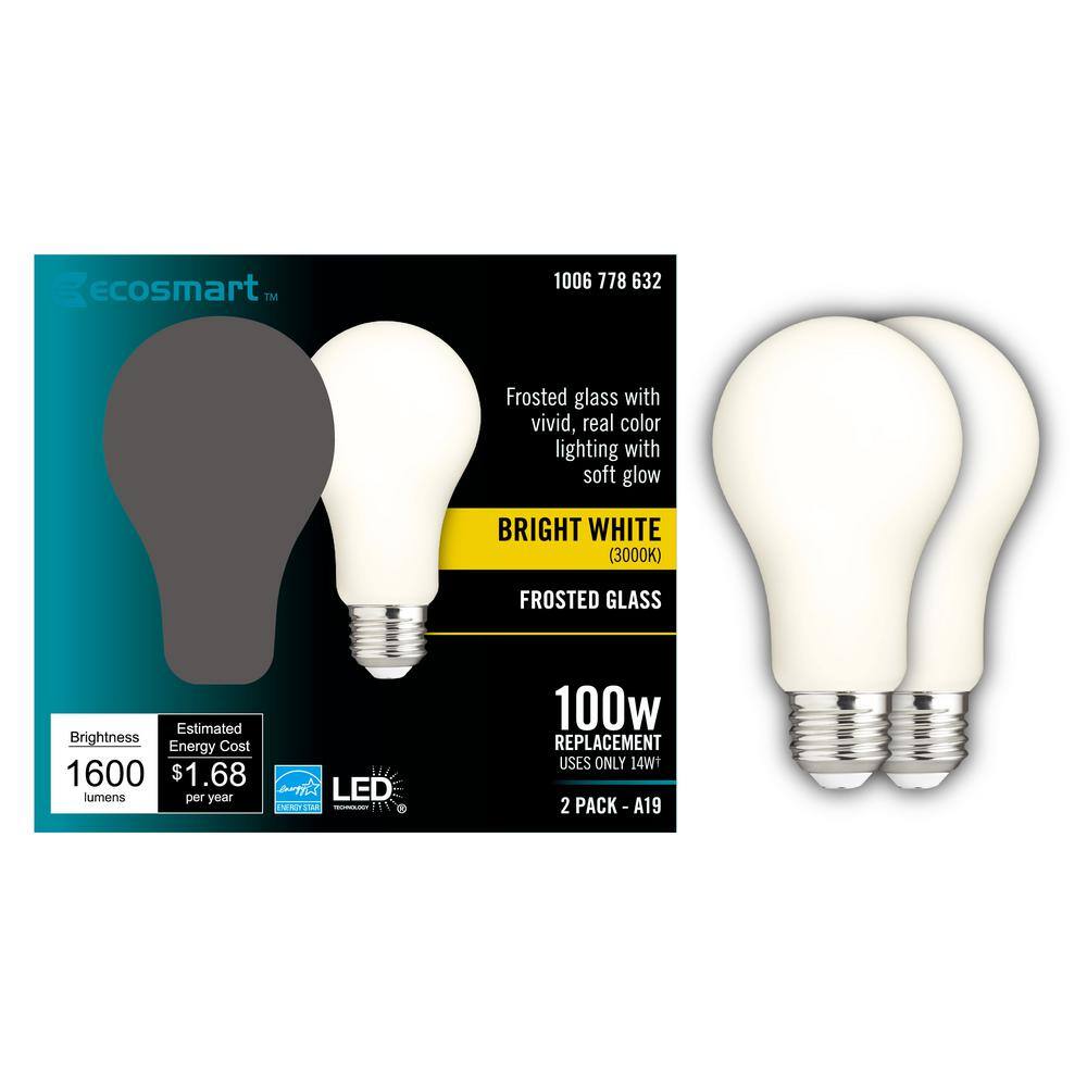 EcoSmart 100-Watt Equivalent A19 Dimmable CEC Frosted Glass Filament LED Light Bulb Bright White (2-Pack)