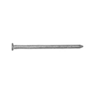 #9 x 3 in. 10D Hot Dipped Galvanized Joist Hanger Nails 5 lbs. (1260-Count)