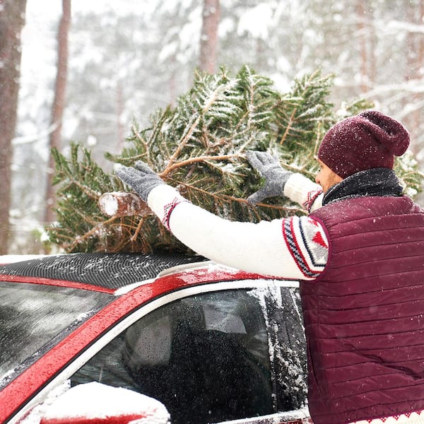 39 in. x 36 in. Protective Non-Slip Car Roof Mat with Extra Cushioning - Black