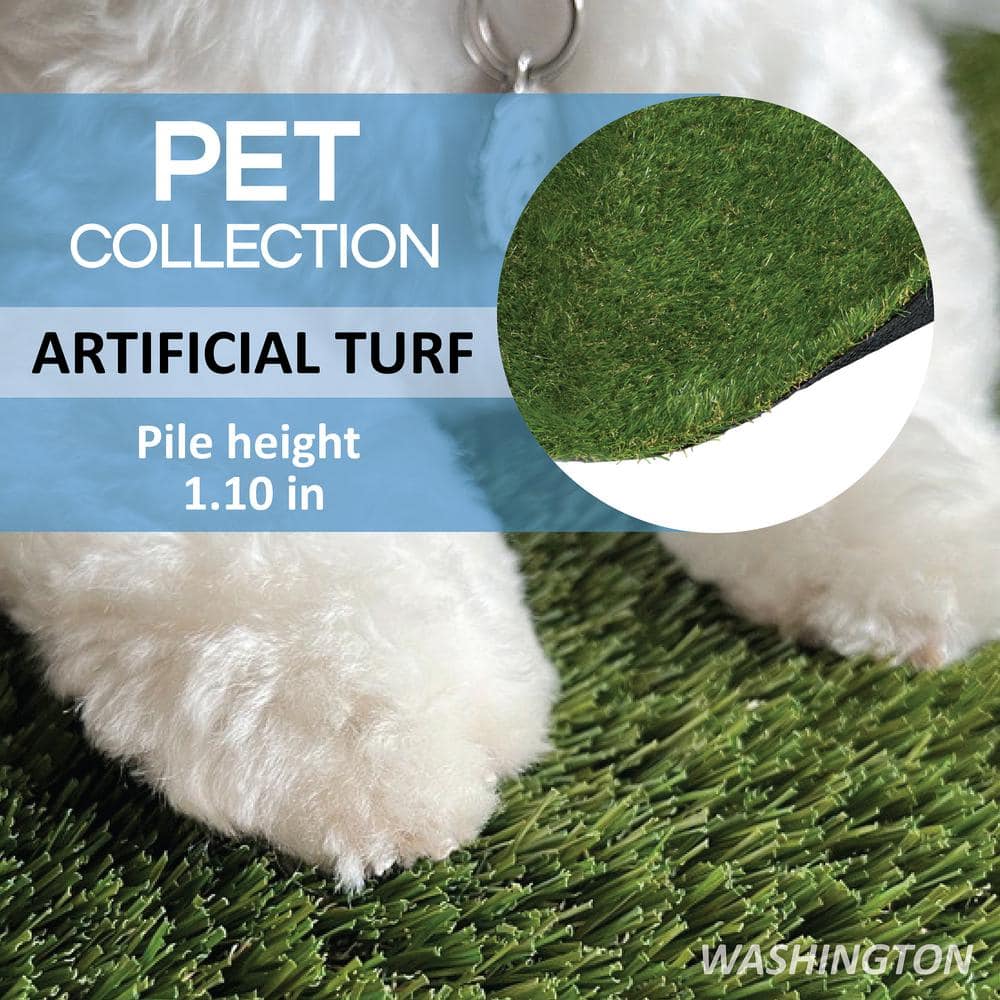 CREATIVE SURFACES Washington 3.74 ft. x 8.66 ft. Green Artificial