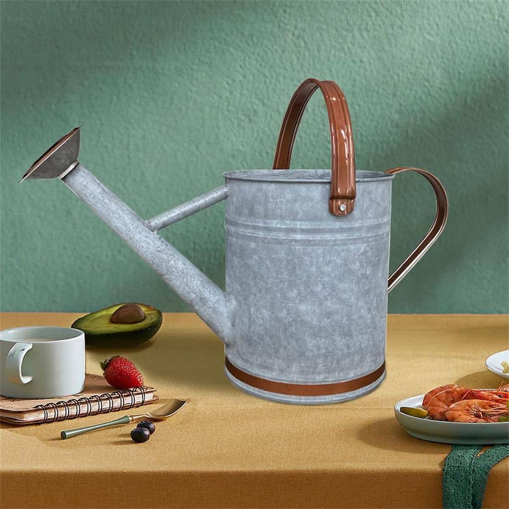 Light Blue Galvanized Metal Watering Can with Removable Spout