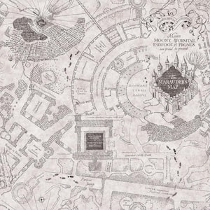 Grey Harry Potter Marauder's Map Vinyl Peel and Stick Matte Wallpaper