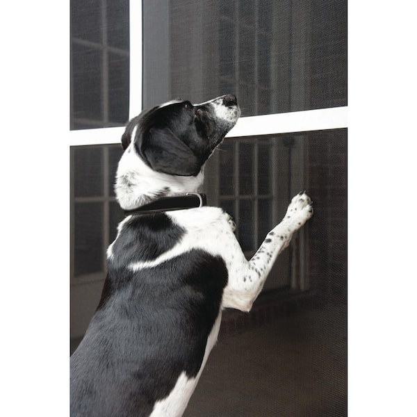 Home depot shop pet resistant screen