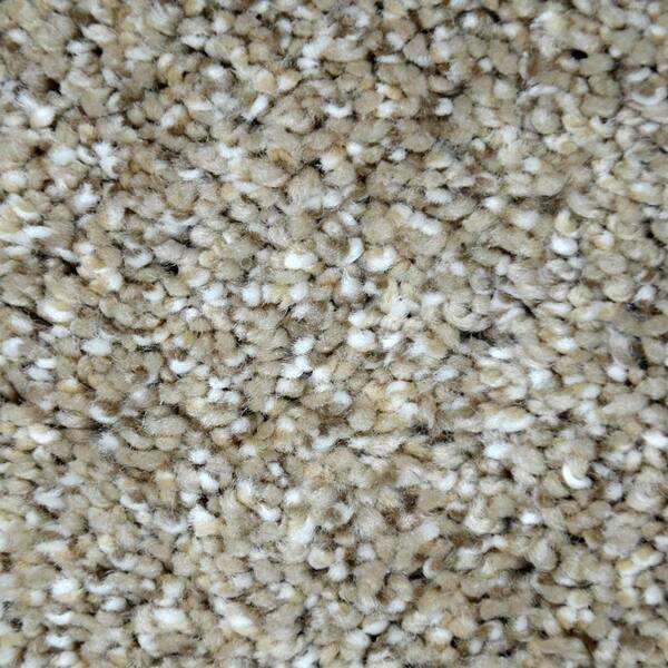 Lifeproof Carpet Sample - Graceful Style II - Color Wilmore Texture 8 in. x 8 in.