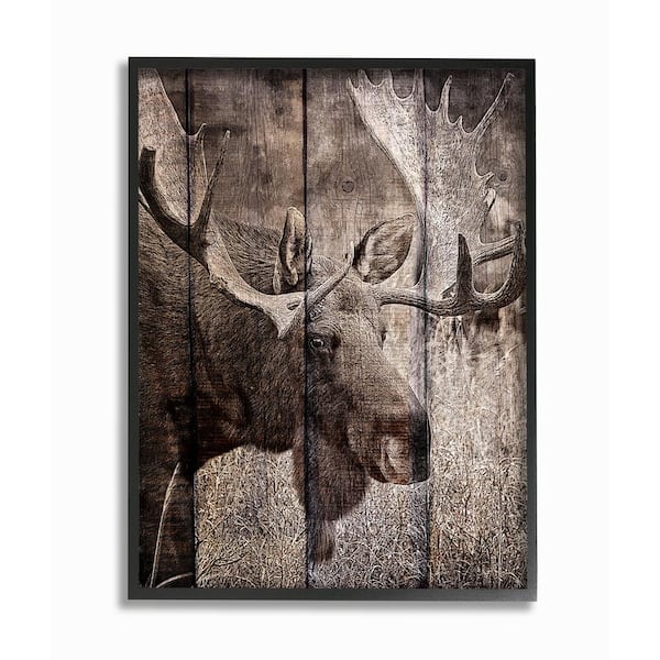 Stupell Industries 24 in. x 30 in. Brown Moose Planked Look Photography  by Kimberly Allen Framed Wall Art sca-179_fr_24x30 - The Home Depot