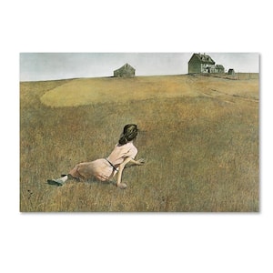 Christina's World by Andrew Wyeth Print Hidden Frame Country Wall Art 12 in. x 19 in.