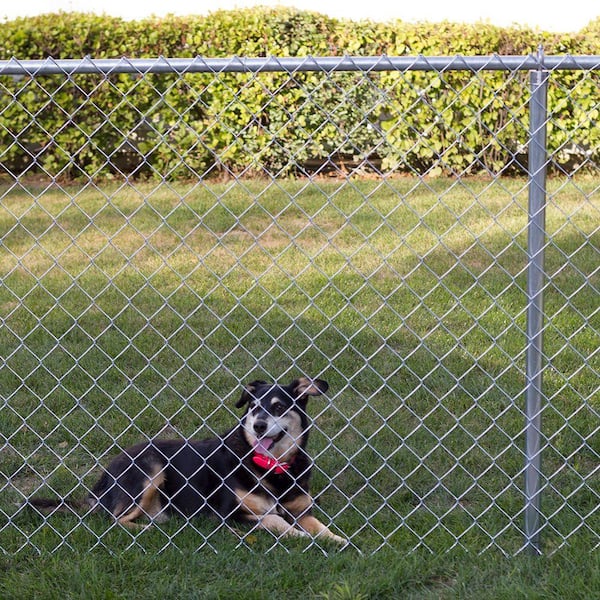 Fit Right 6-ft H x 6-ft W Galvanized Metal Walk-thru Chain Link Fence Gate  Kit with Mesh Size 2-in in the Chain Link Fencing department at