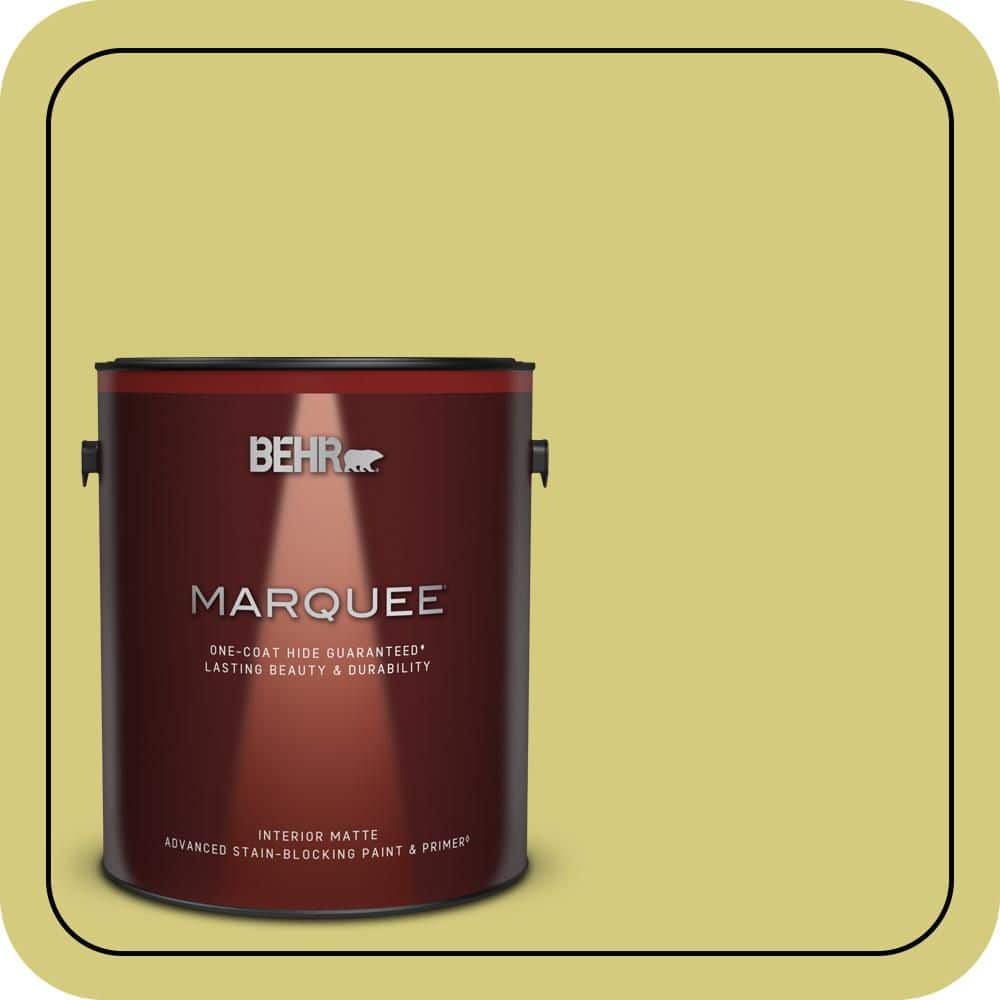 1 gal. #P350-4 Spring Grass Matte Interior Paint & Primer price history on PriceWatchPro