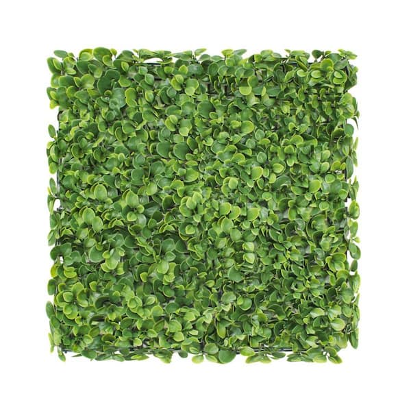 BANSA ROSE 20 in. H x 20 in. W Plastic Artificial Ivy Lechuguilla Boxwood Hedge Privacy Garden Fence for Backyard Garden, 1-Piece