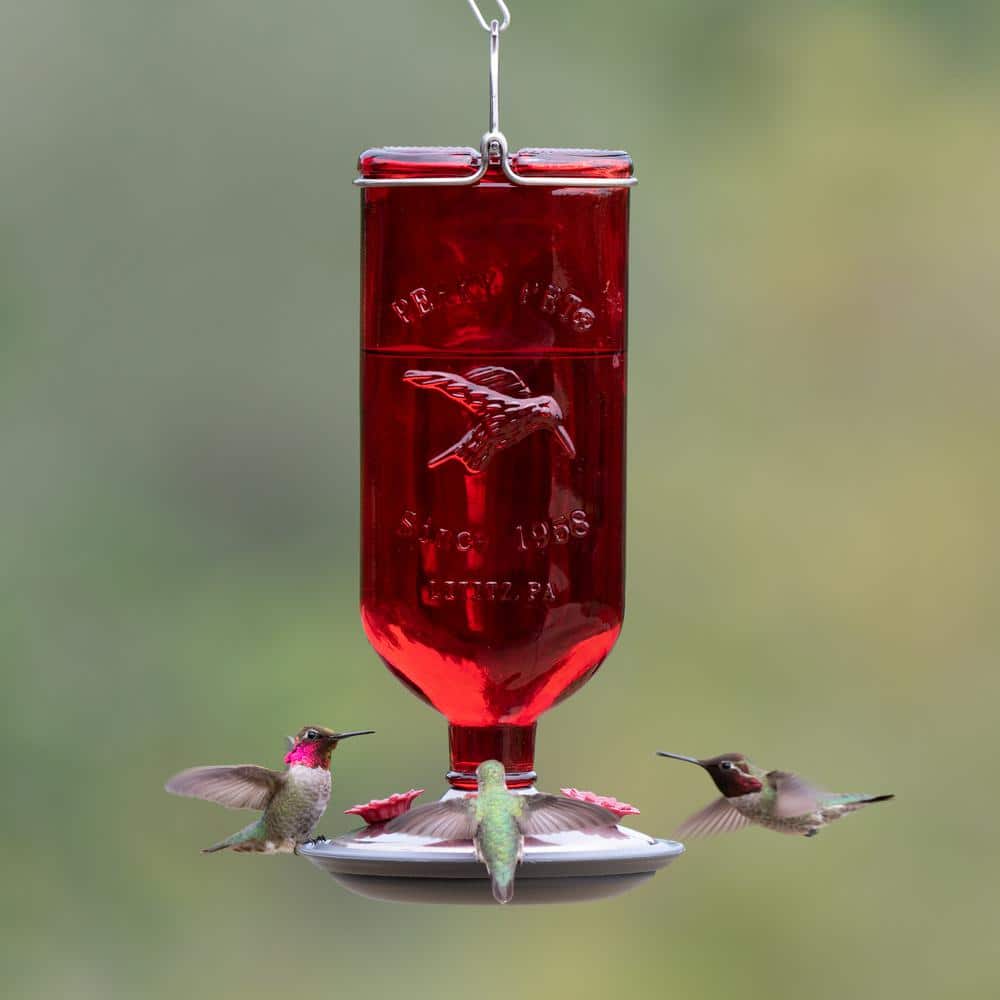 Red Antique Hanging Glass Hummingbird Feeder with Metal Accents