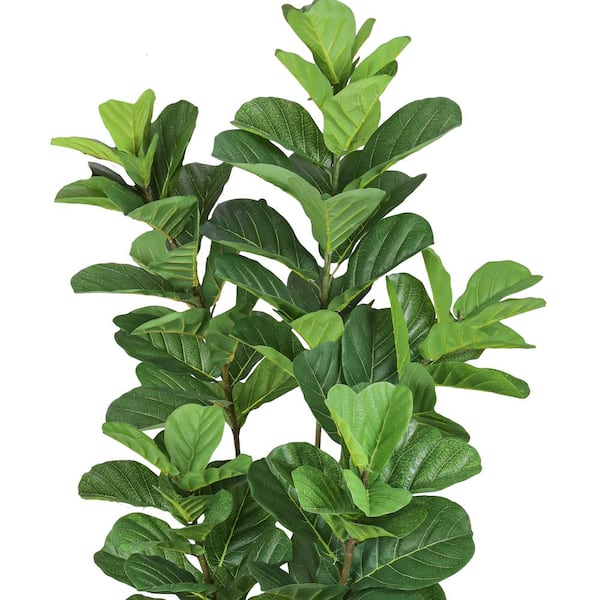 6 ft. Real Touch Artificial Fiddle Leaf Fig Tree in Black Pot