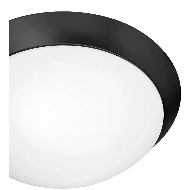 Cobalt Matte Black 16" Glass Flush Mount Ceiling Light