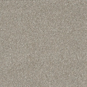 Misty Meadows III- Kirby Beige - 75 oz. SD Polyester Texture Installed Carpet