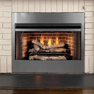 Screen Gas Fireplace Inserts, Replace Gas Fireplace Screen