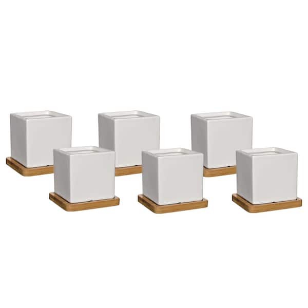 CHG CLASSIC HOME & GARDEN 3.5 in. Nova White Ceramic Planter with Tray (6-Pack)