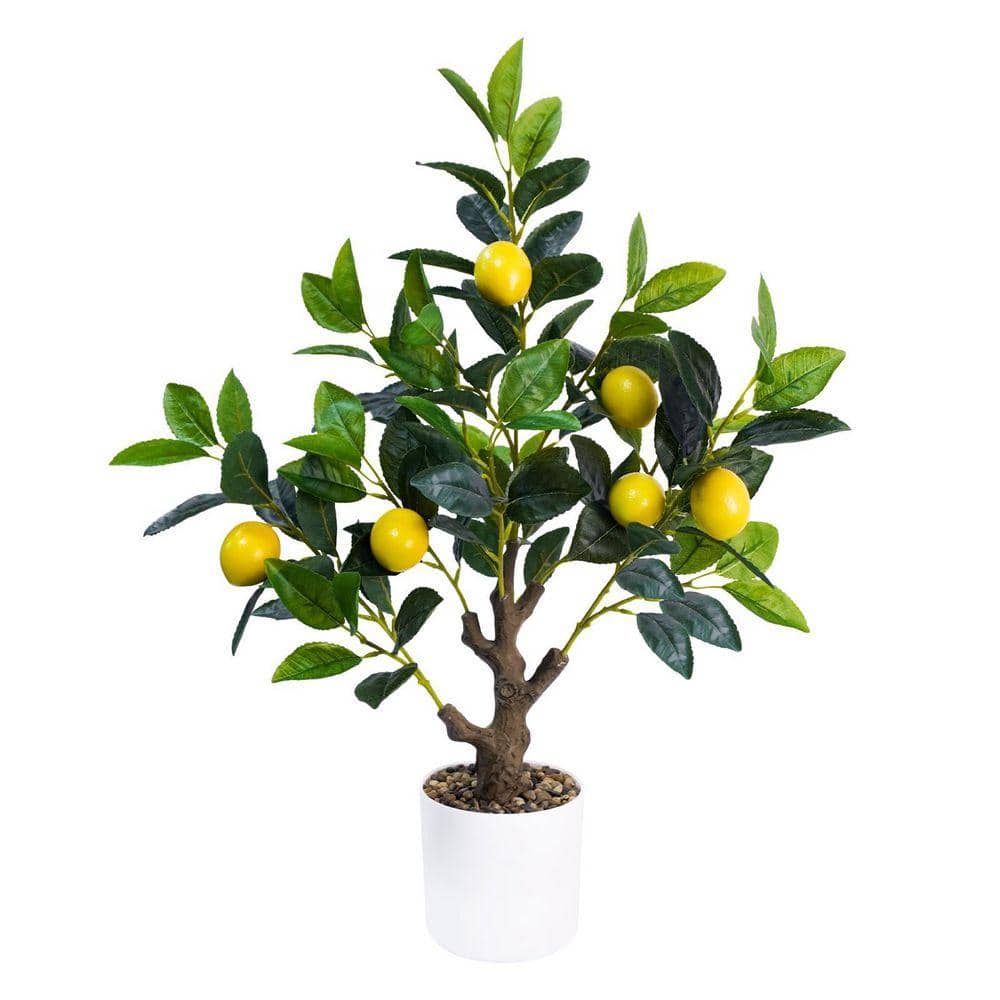 2 ft. Artificial Lemon Tree in White Planter with Stones WK0760