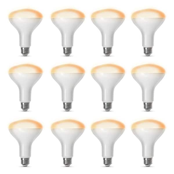 Feit Electric 65-Watt Equivalent BR30 Smart Wi-Fi Dimmable E26 LED Light Bulb Works with Alexa/Google Home, Soft White 2700K (12-Pack)