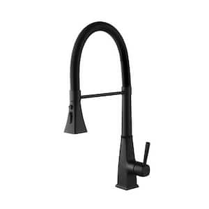 Single Handle Pull Down Sprayer Kitchen Faucet in Matte Black