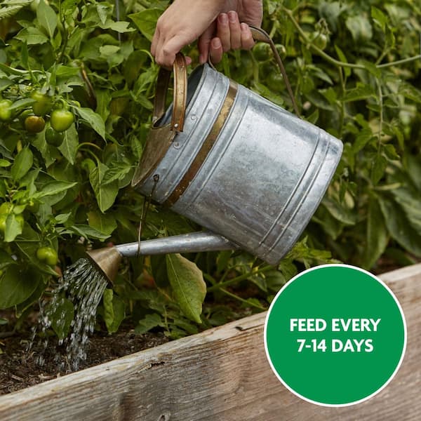Reviews for Miracle-Gro Water Soluble 1.5 lb. Tomato Plant Food