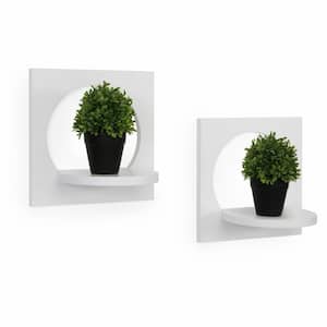 Silhouette 12 in. x 8 in. White Round Decorative Shelves (Set of 2)