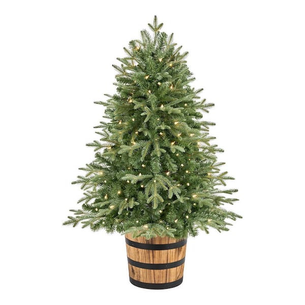 Home Accents Holiday 4 ft Fraser Fir Whiskey Barrel Potted 22GR00215 ...