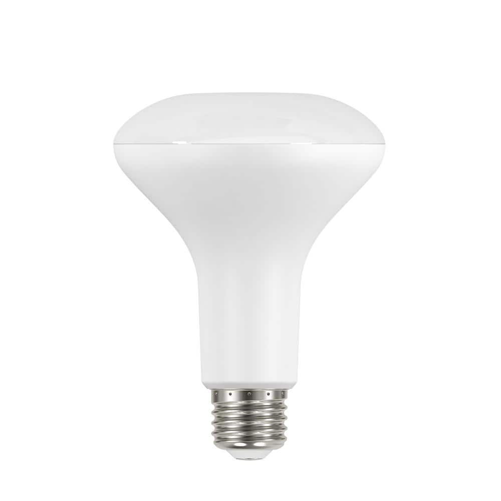 65-Watt Equivalent BR30 Dimmable Flood LED Light Bulb Soft White (6-Pack)