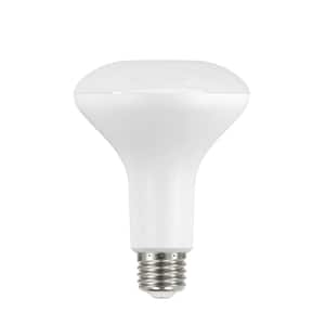 65-Watt Equivalent BR30 Dimmable Flood LED Light Bulb Daylight (6-Pack)