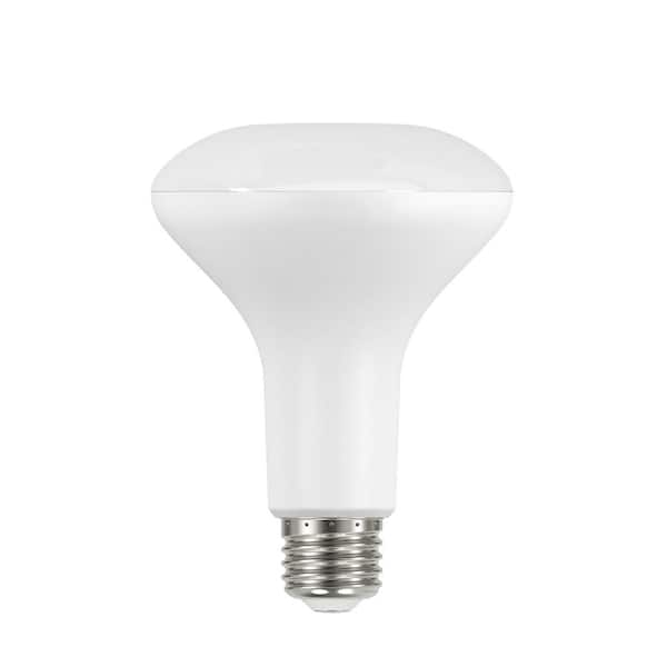 Unbranded 65-Watt Equivalent BR30 Dimmable Flood LED Light Bulb 2700K Soft White (6-Pack)