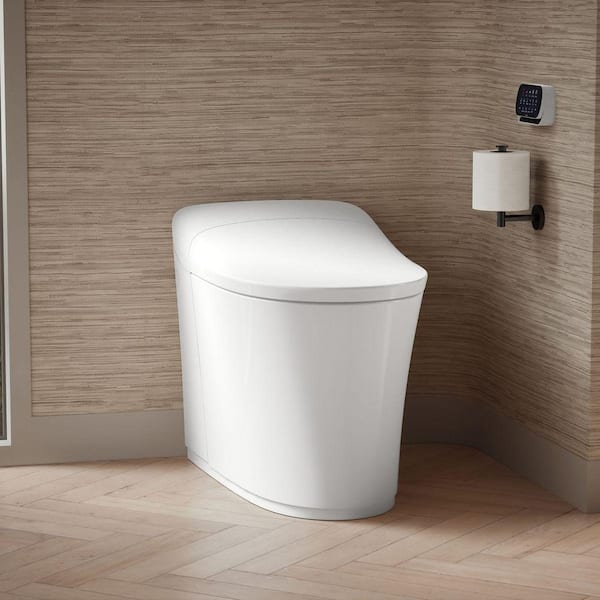 Eir Comfort Height Intelligent 1-Piece 0.8 GPF Dual Flush Elongated Toilet in White with built in bidet, Seat Included