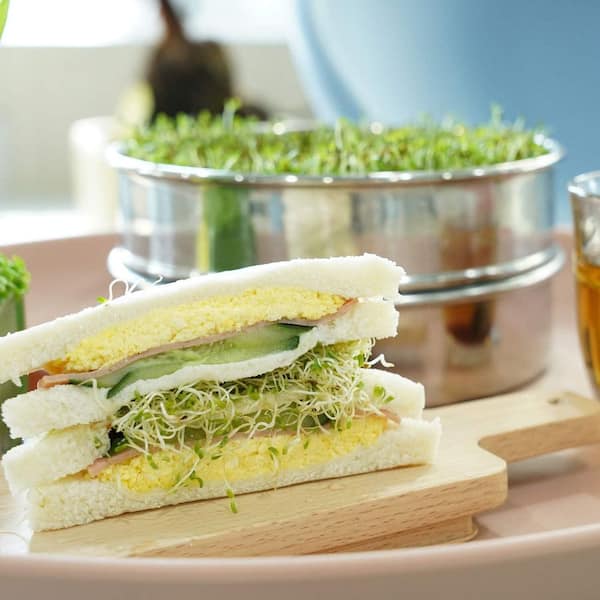 Phewnyzo Stackable Stainless Steel Seed Sprouting Kit with 2-Tier
