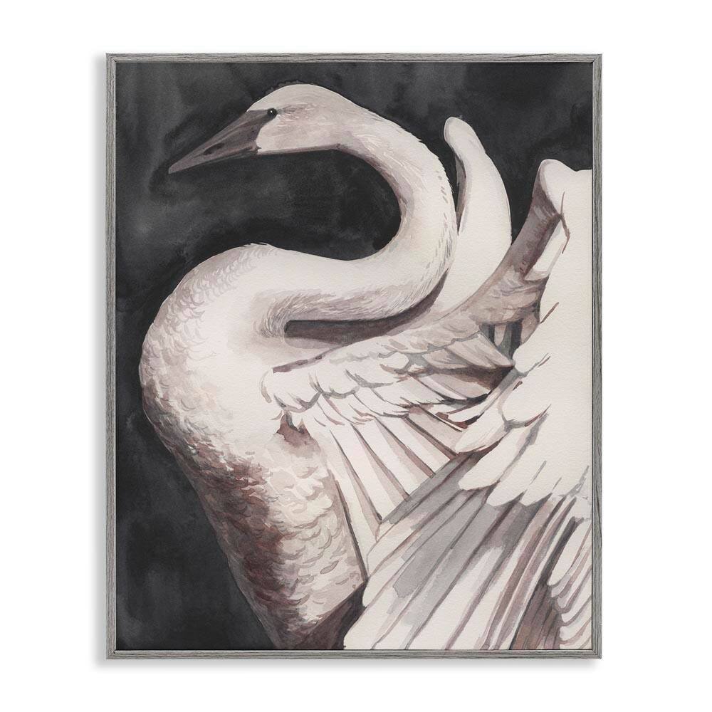 Swan Spreading Wings by Grace Popp Gray Framed Animal Giclee Art Print 20 in. x 16 in. price history on PriceWatchPro