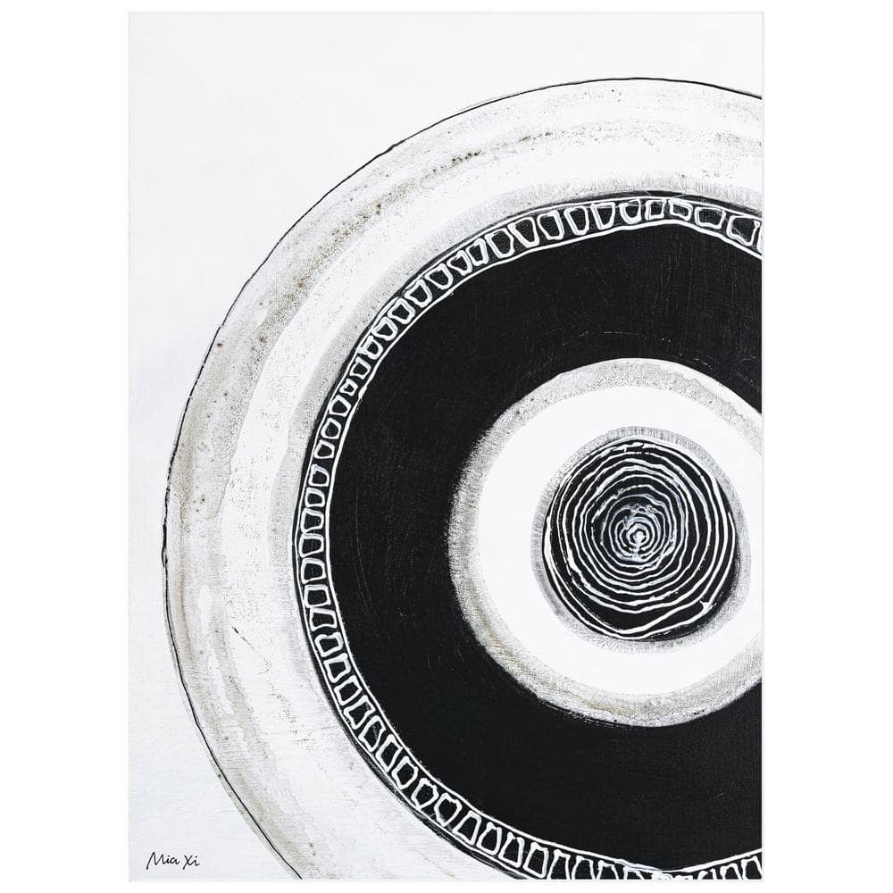 Black White, 8'x10' Circuli Washable Circles Art, Power-loomed, Heavenly Softness with Non-Slipping Backing Area Rug price history on PriceWatchPro