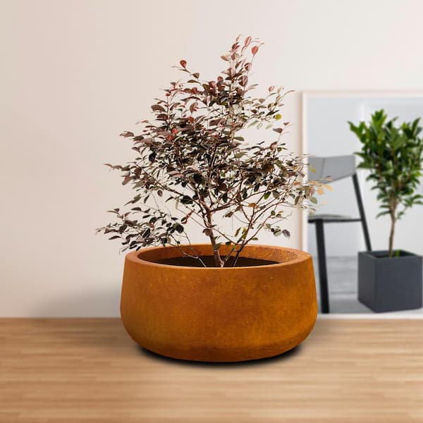 Have a question about KANTE 16 in. Dia, Round Faux Rusty Metal Finish  Concrete Bowl Planter, Outdoor Indoor Large Planter Pot with Drainage Hole?  - Pg 2 - The Home Depot